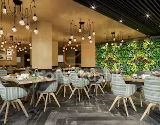 cafe-akustigi-ve-modern-dekorasyon-cozumleri
