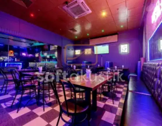 disco-bar-ses-yalitimi-ve-sinema-salonu-cozumleri