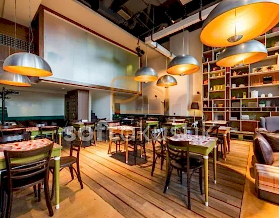 restaurant-ses-yalitimi-ve-modern-tasarim-cozumleri