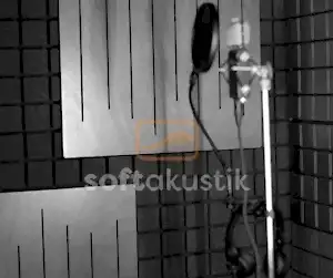 vicoustic-sunger-300x281